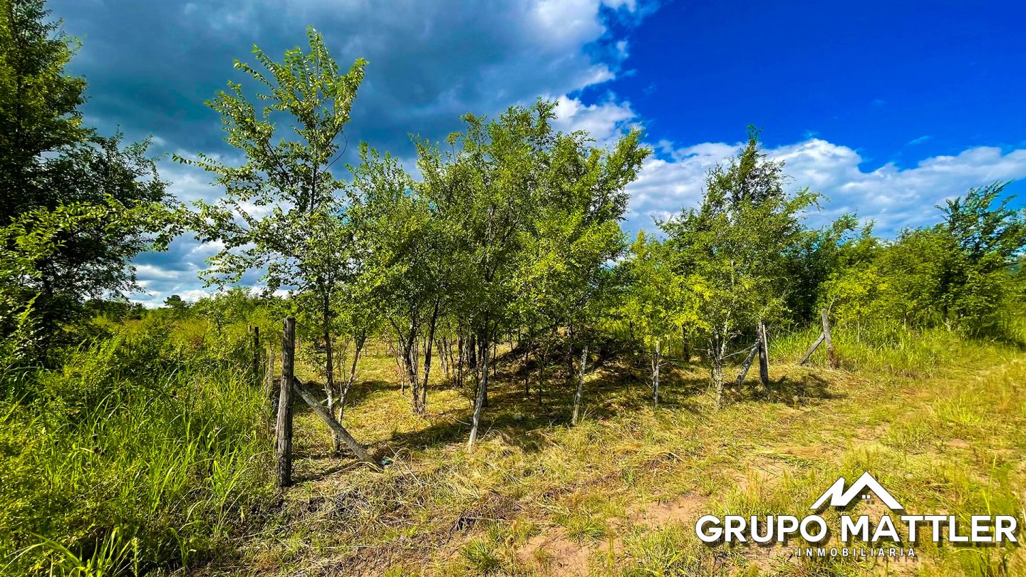 Lote EN VENTA