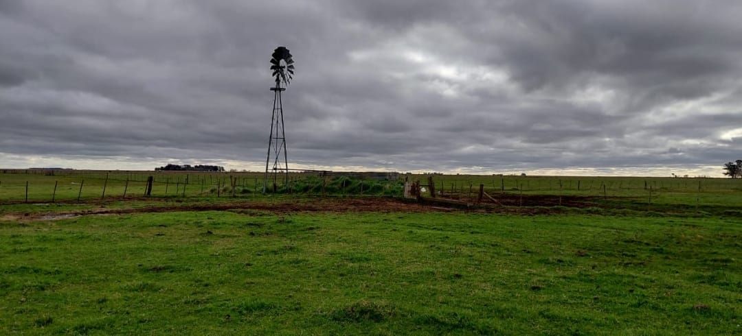 Campo en RUTA 60