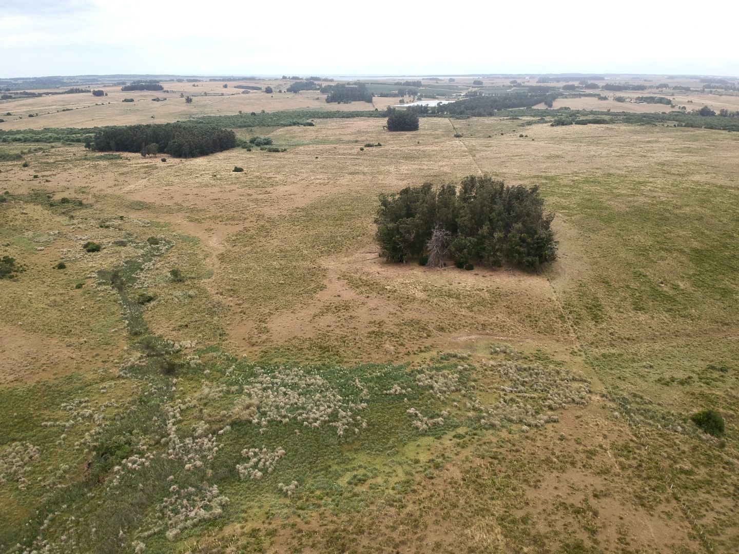 Campo EN VENTA