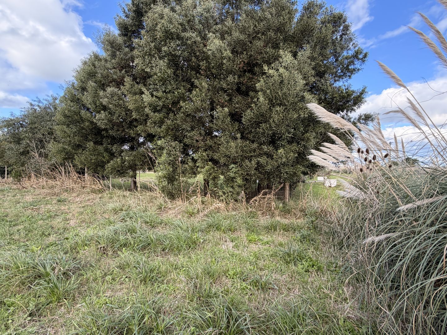Lote EN VENTA