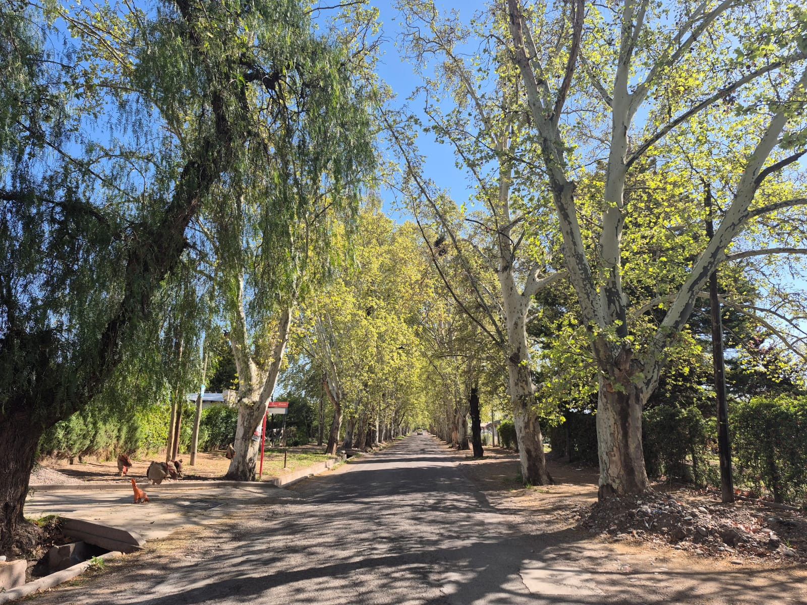 Lote en Venta en Lujan de Cuyo, Mendoza