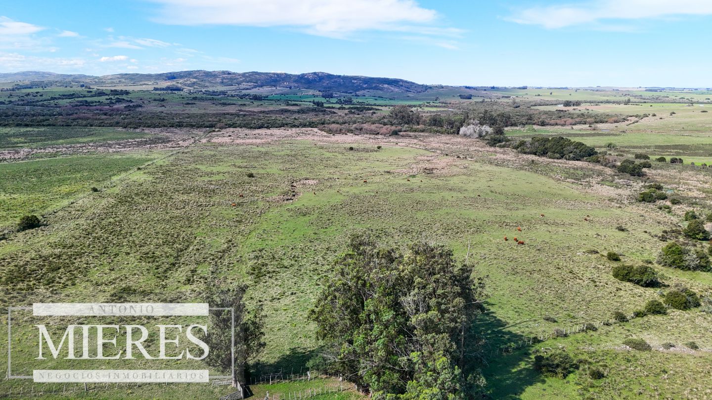 Campo EN VENTA