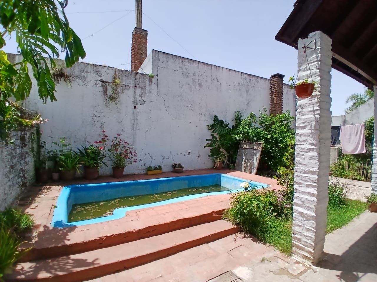 Imagen 13