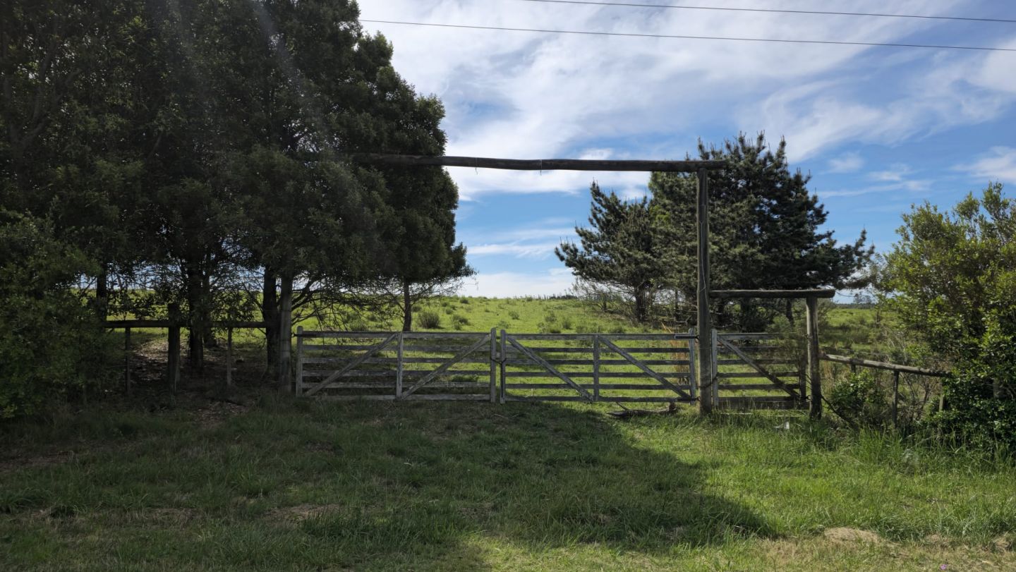 Chacra en venta José Ignacio