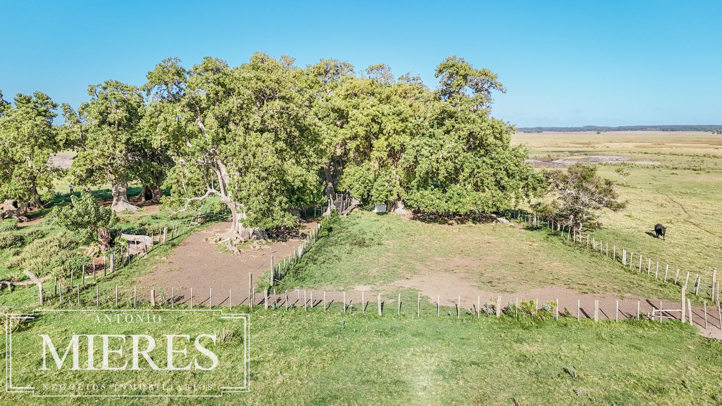 Campo EN VENTA