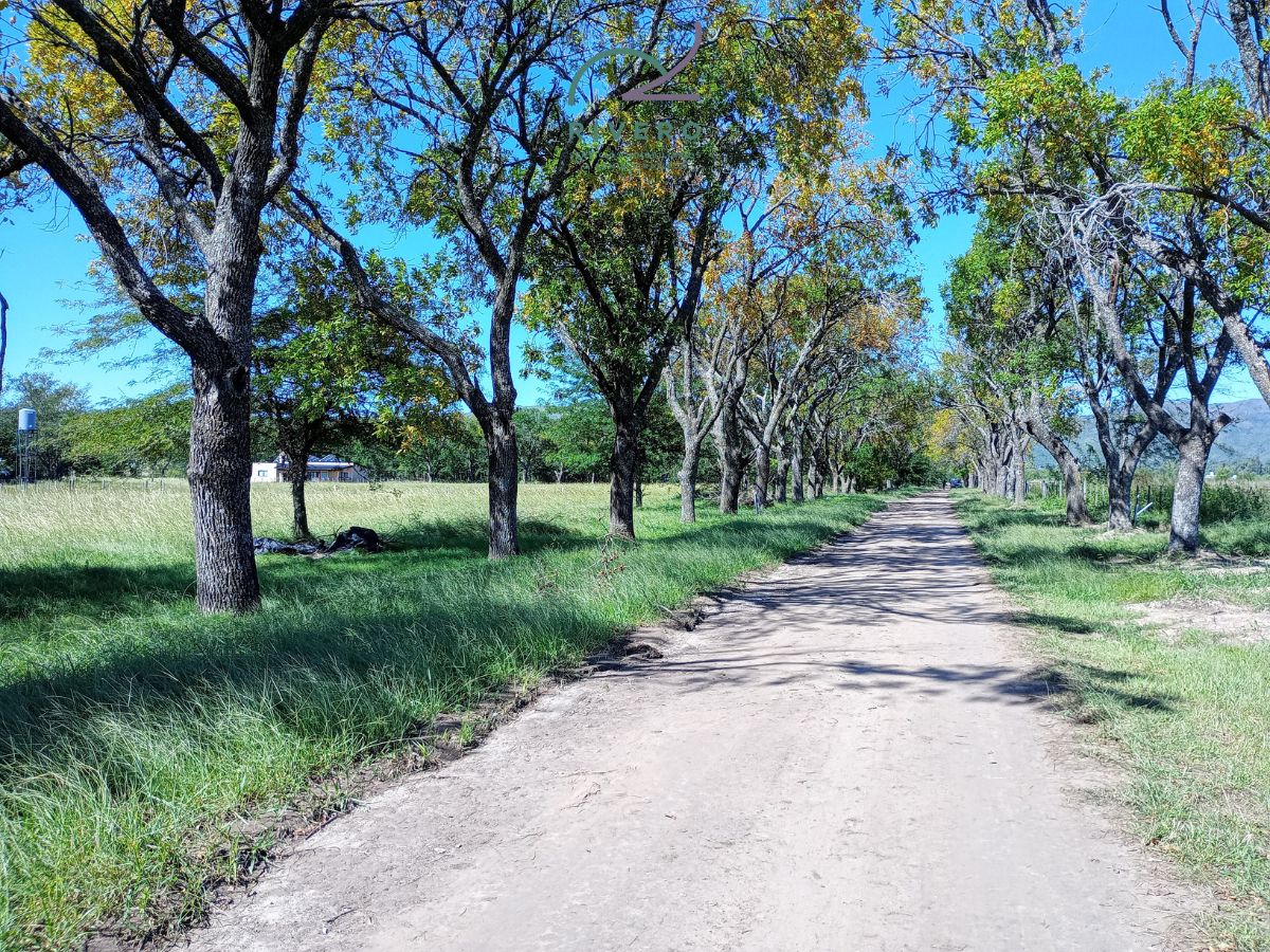 Lote EN VENTA