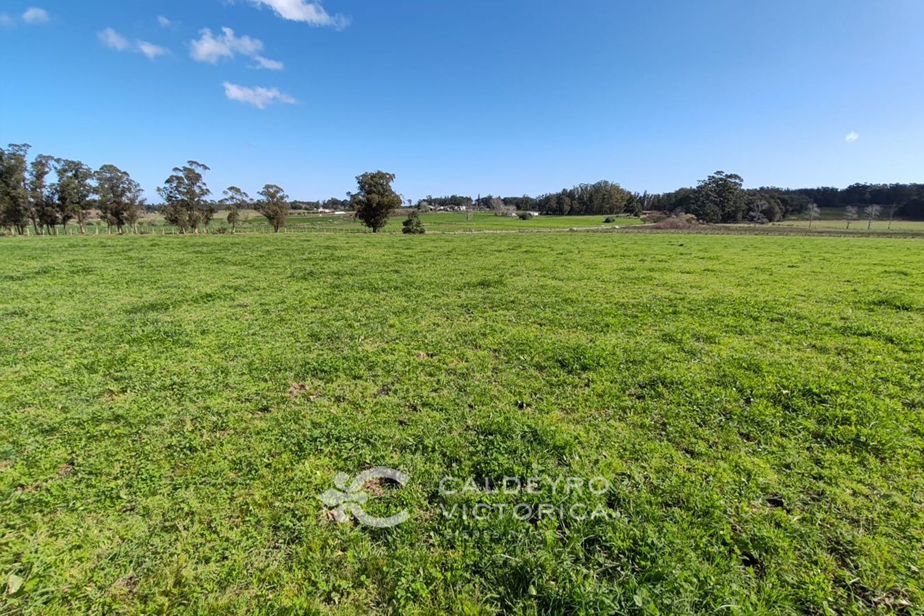 Campo EN VENTA