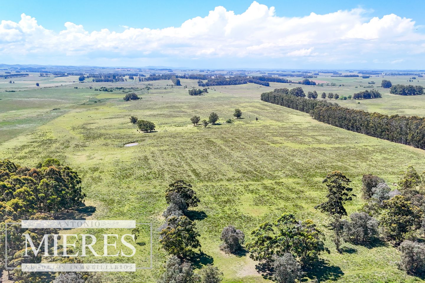 Campo EN VENTA