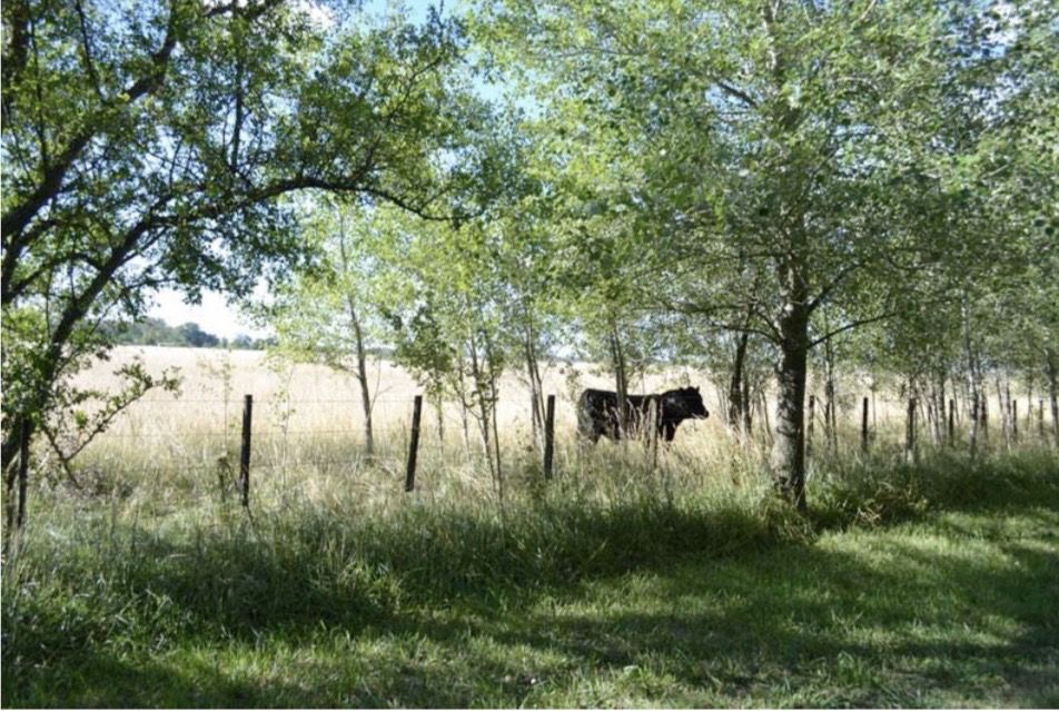 Campo EN VENTA
