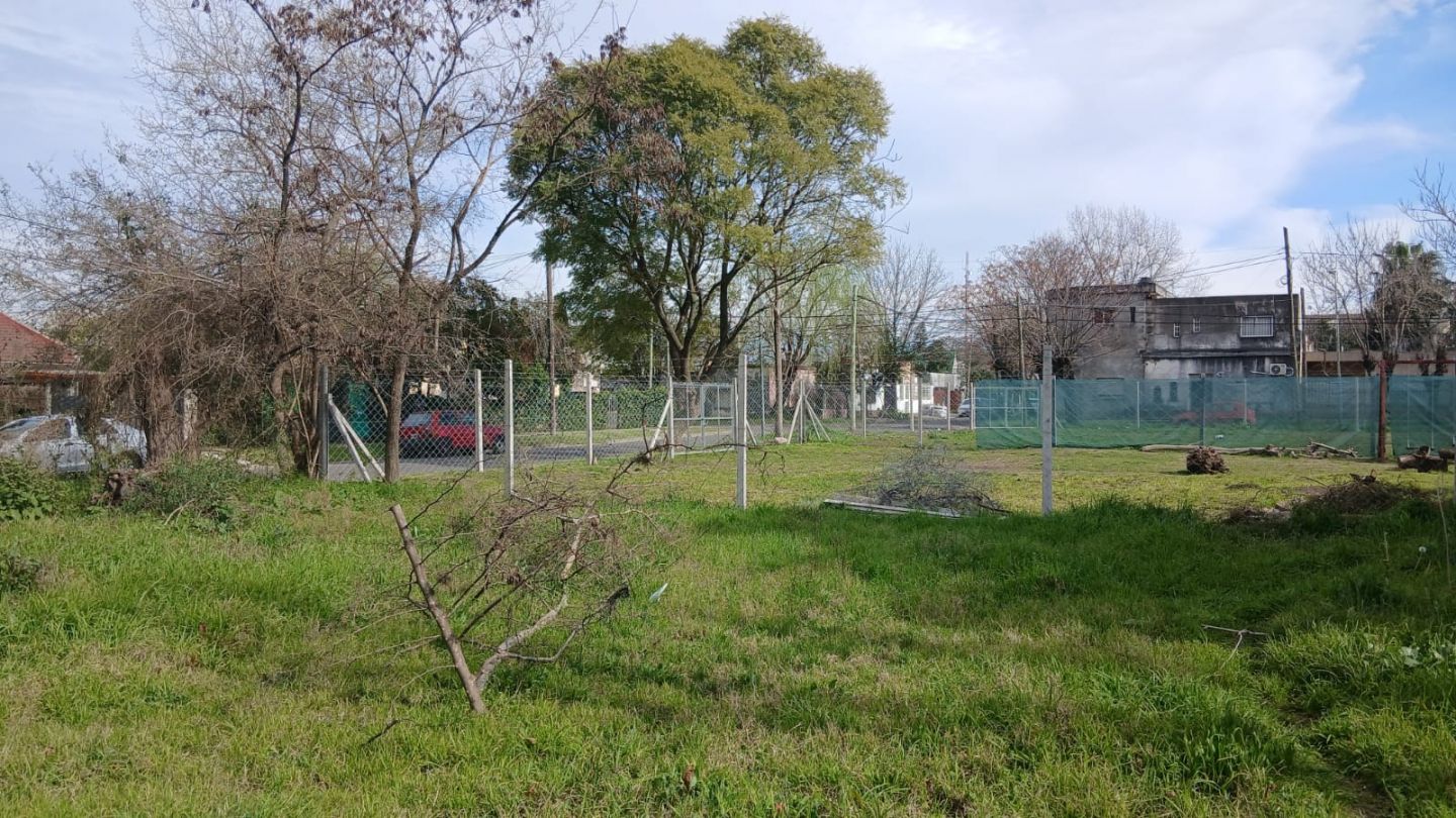 Imagen 14