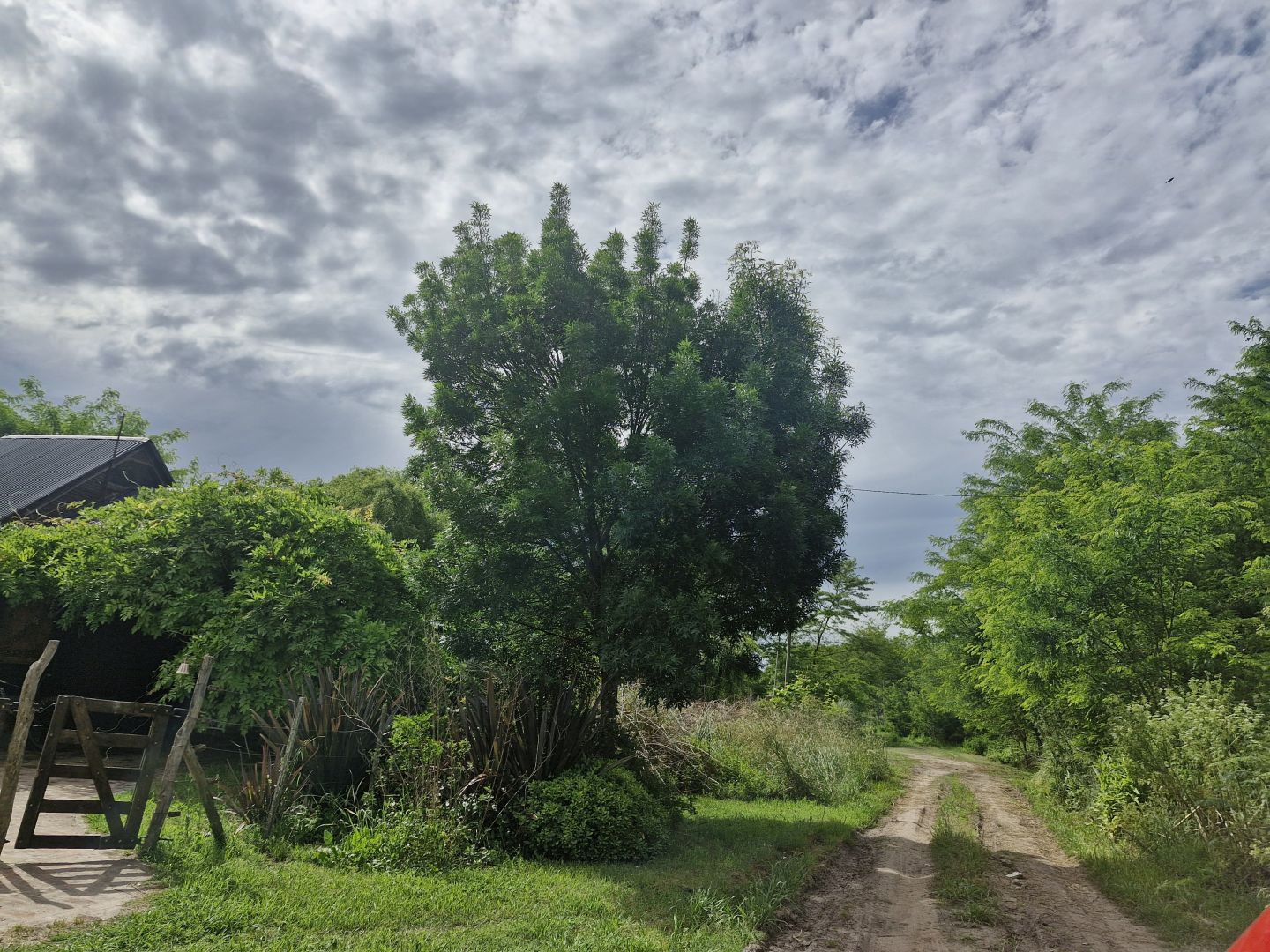 Lote EN VENTA
