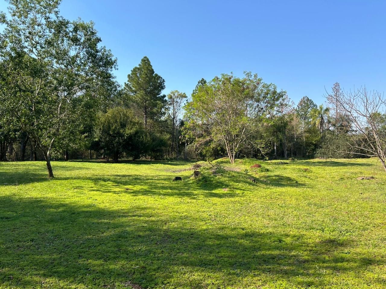 Lote EN VENTA