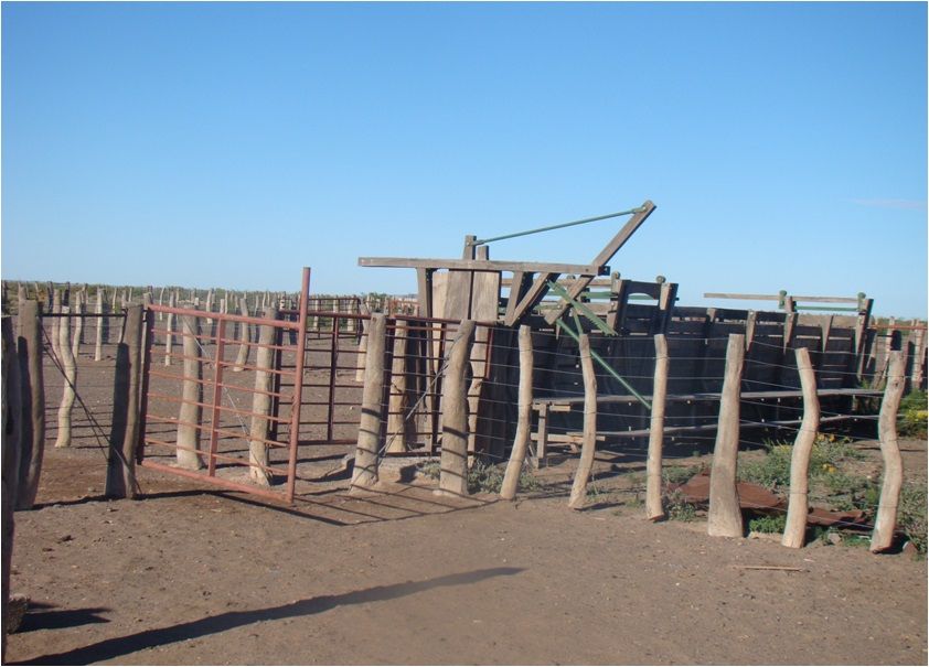 Campo EN VENTA