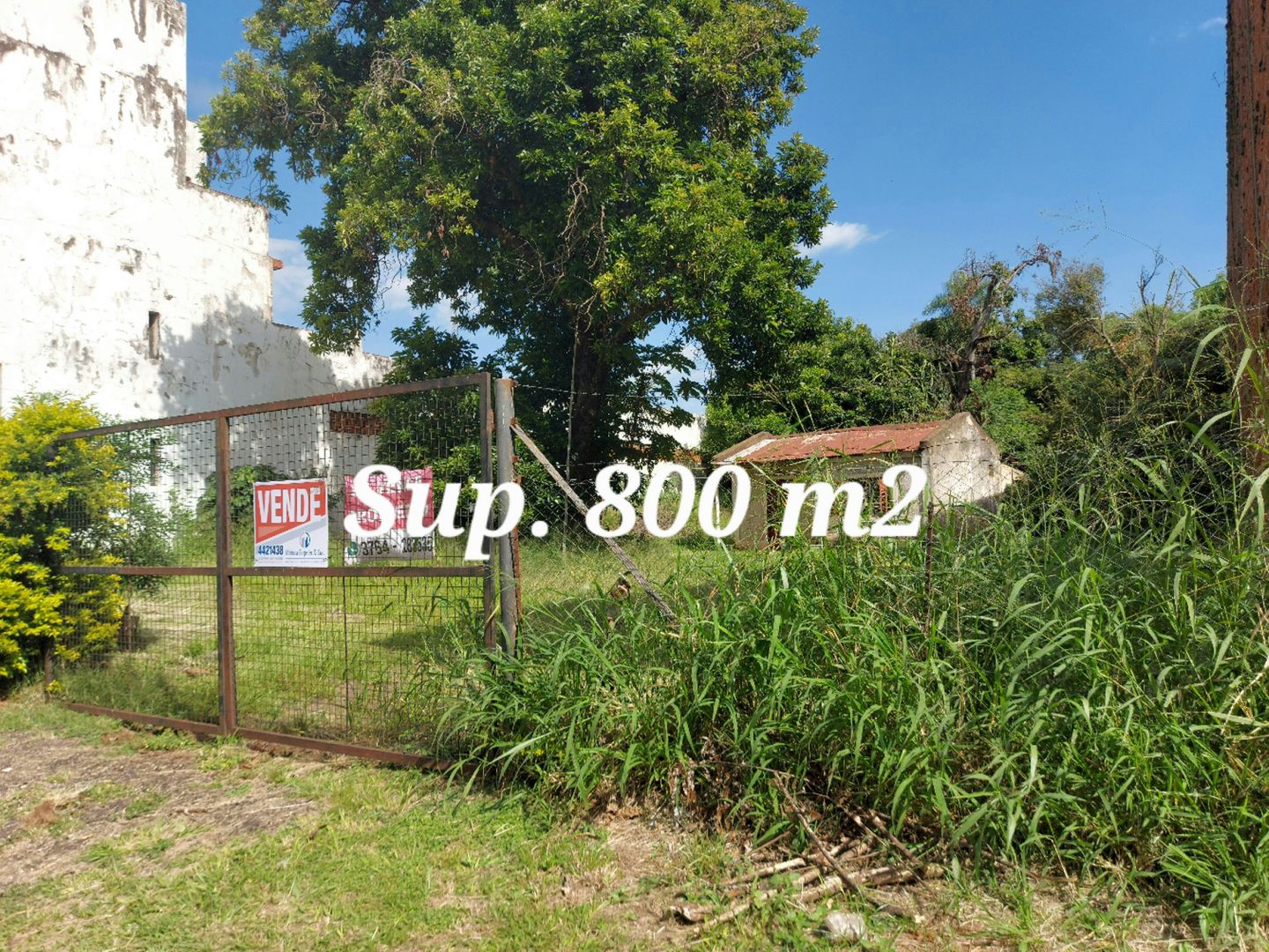 Lote EN VENTA