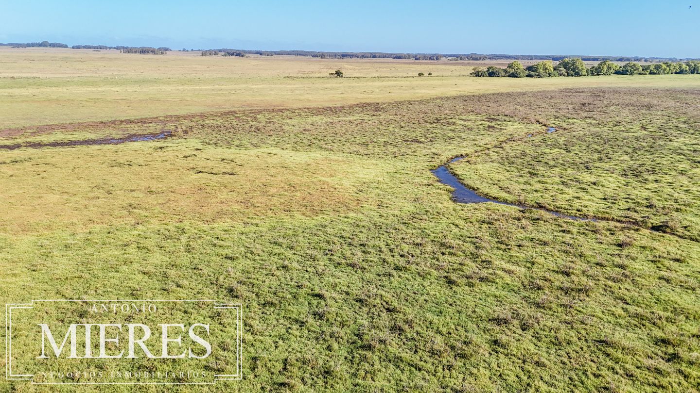 Campo EN VENTA