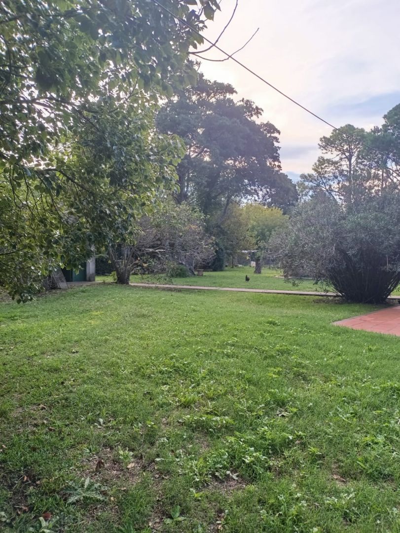 Quinta EN VENTA