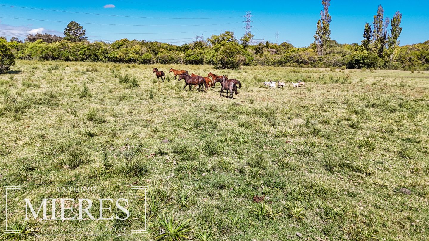 Quinta EN VENTA
