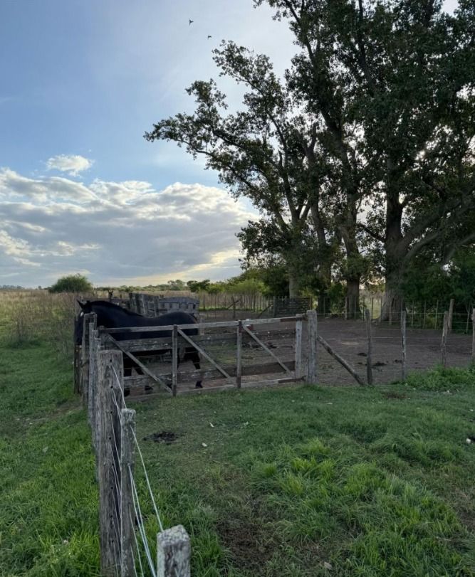 Campo EN VENTA