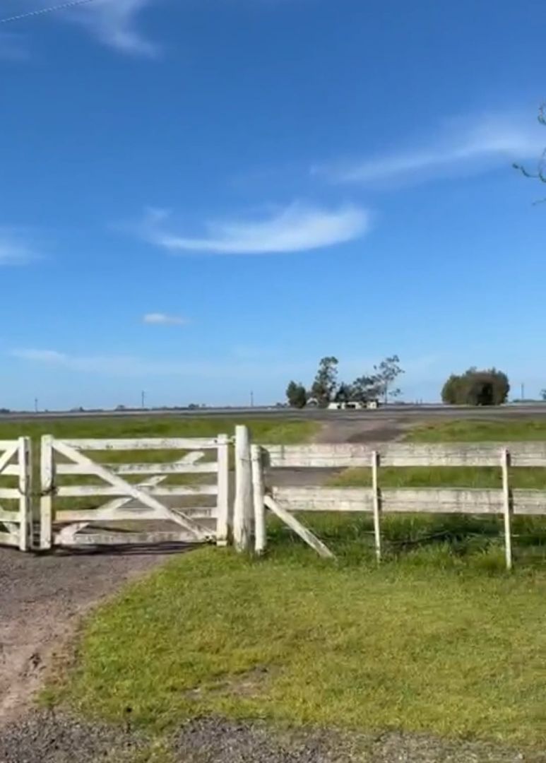 Campo en RUTA 2