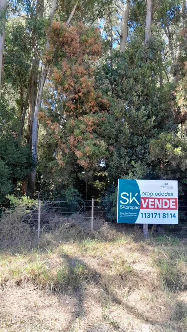 Lote EN VENTA