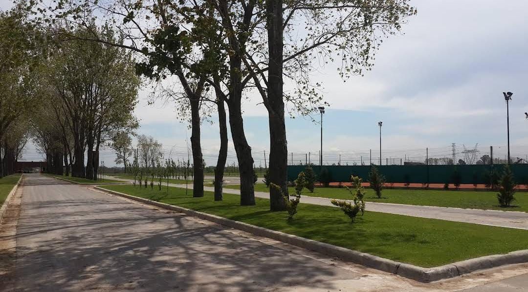 Imagen 6