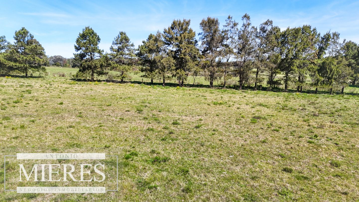 Quinta EN VENTA