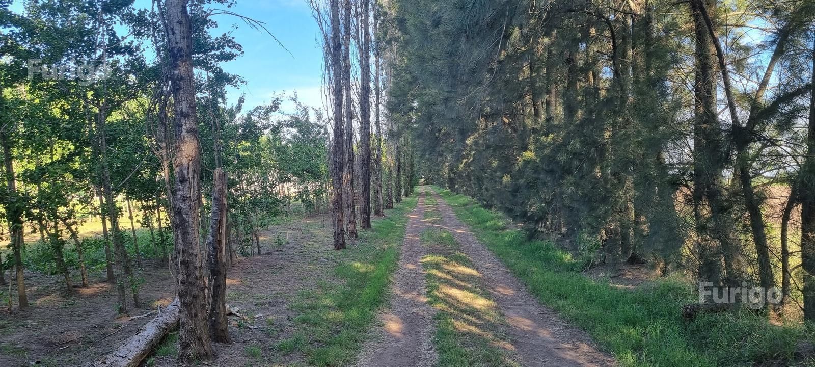 Lote en Venta en Roldán, Santa Fe