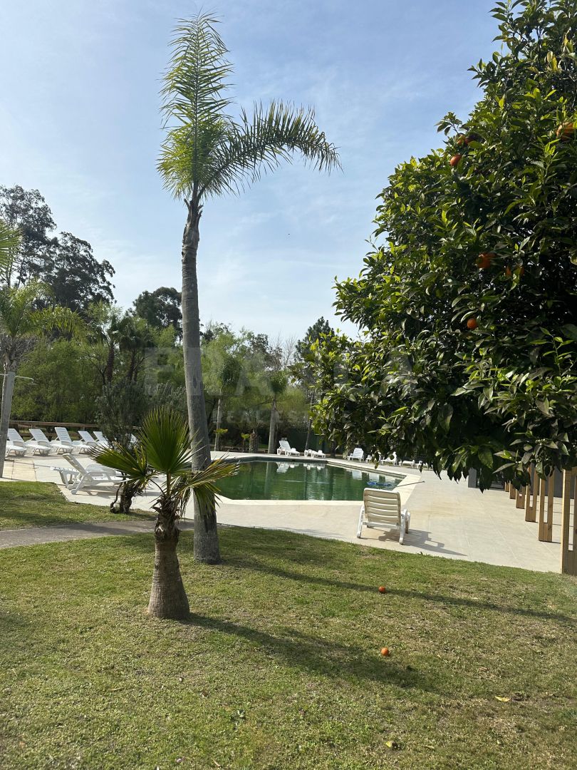 Departamento EN ALQUILER TEMPORARIO
