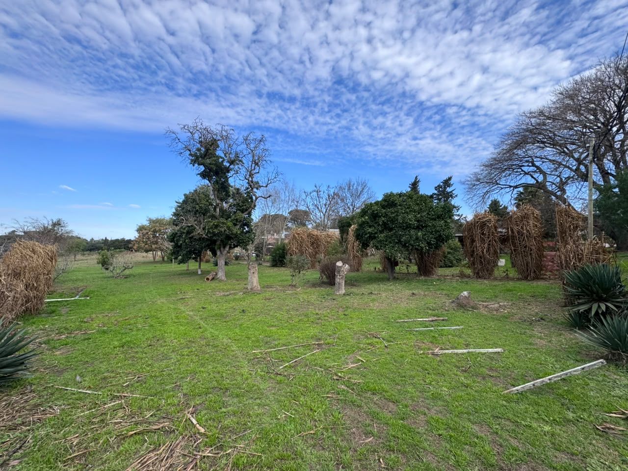 Lote en Av. de la Virgen