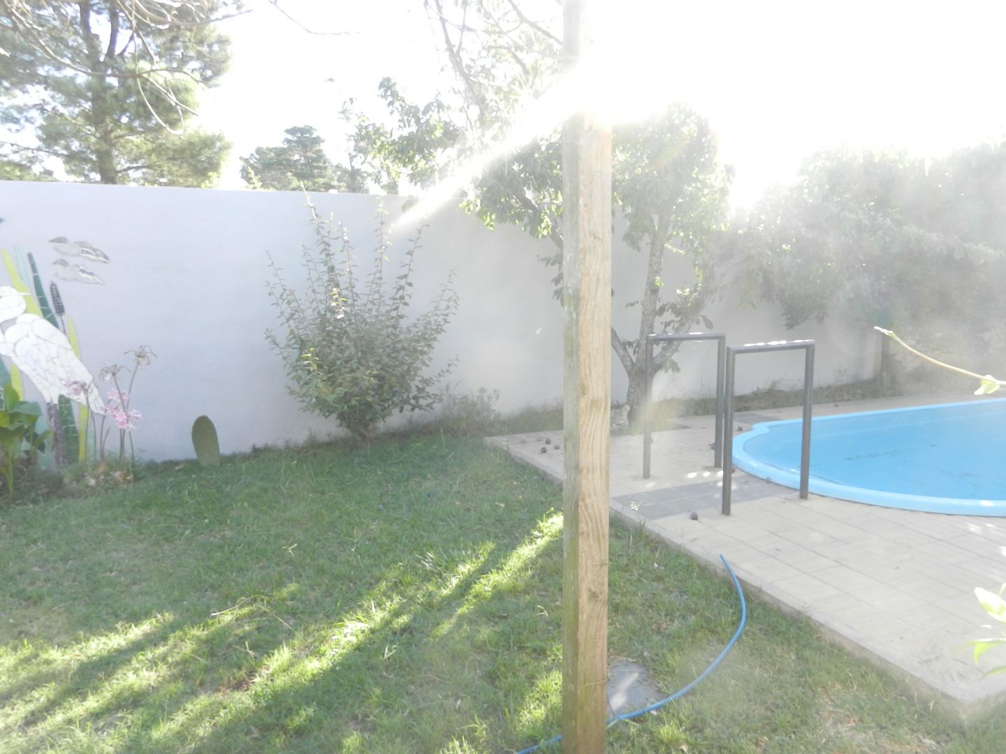 Imagen 19