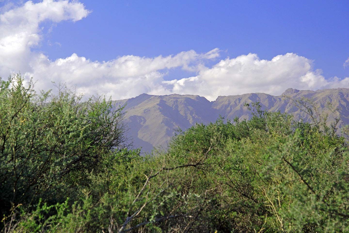 Lote EN VENTA