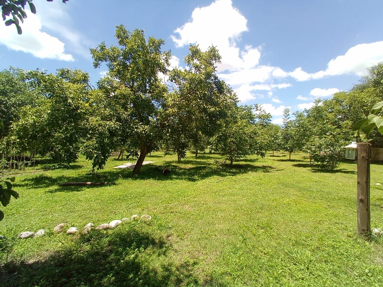 Quinta EN VENTA