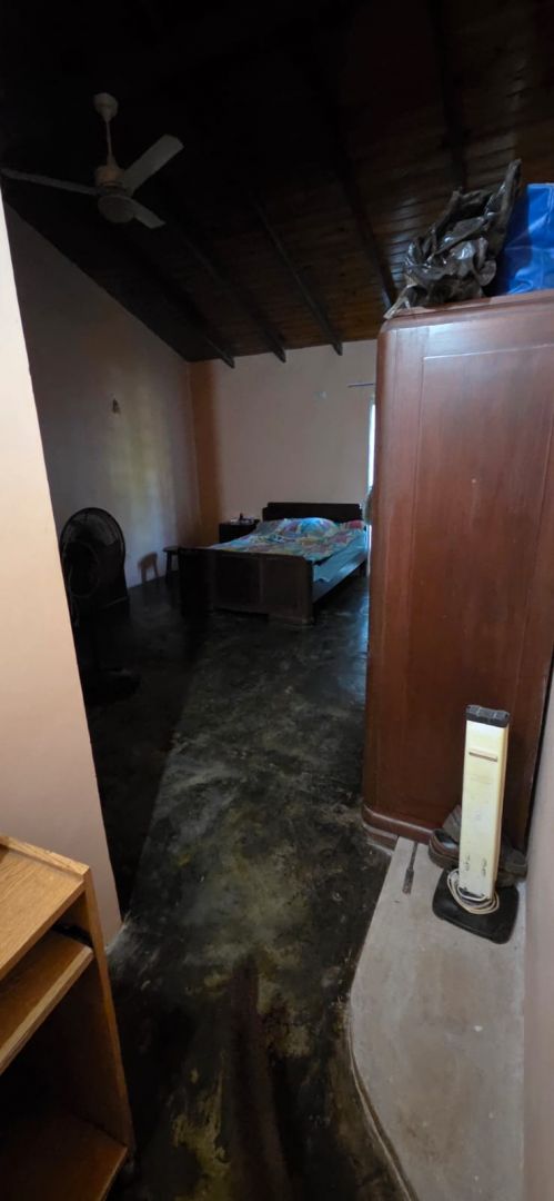 Imagen 11