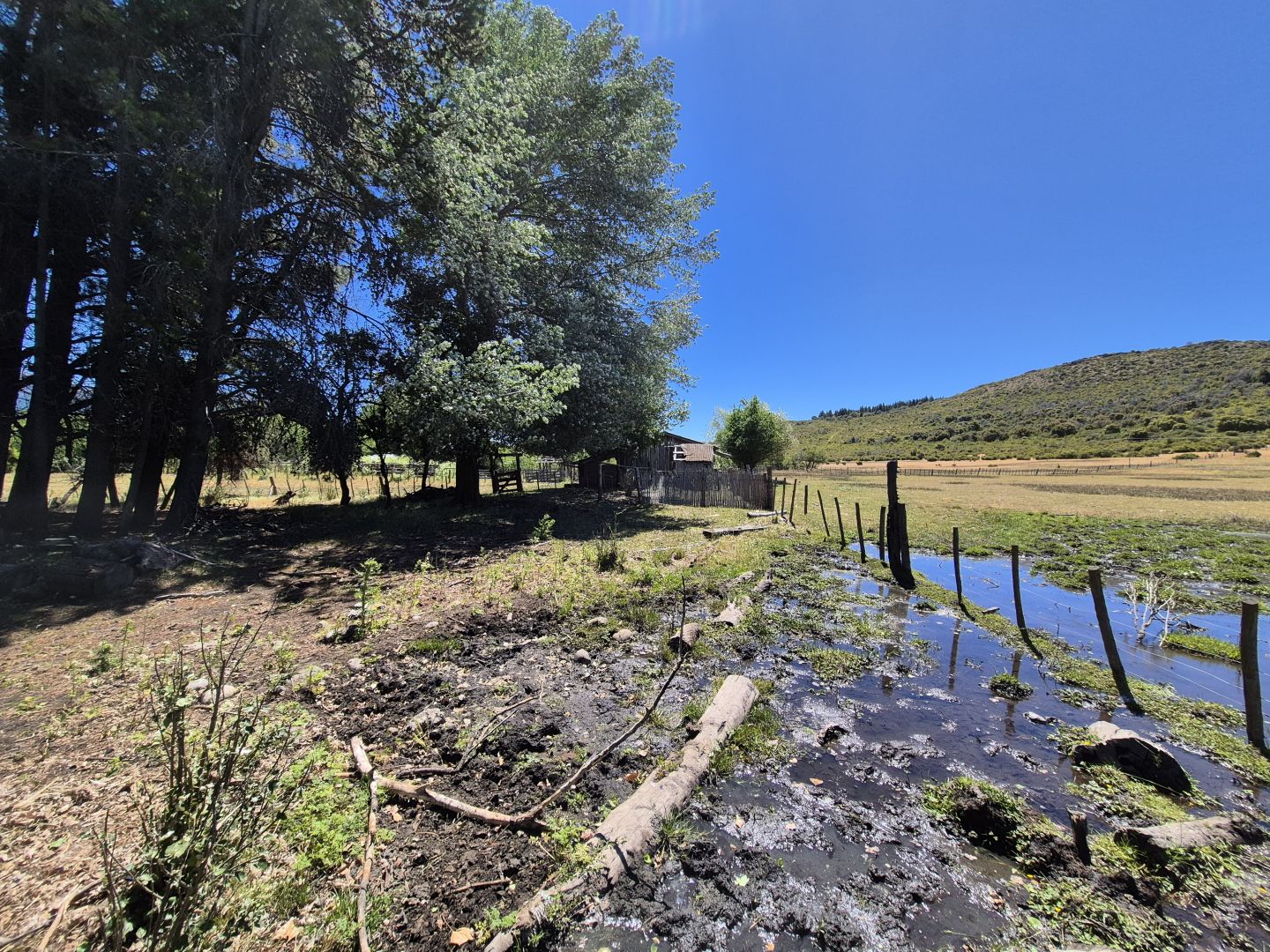 Campo EN VENTA