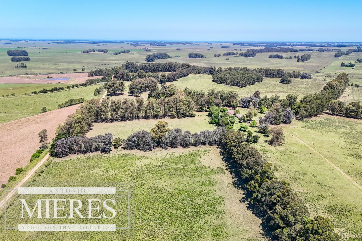 Campo EN VENTA