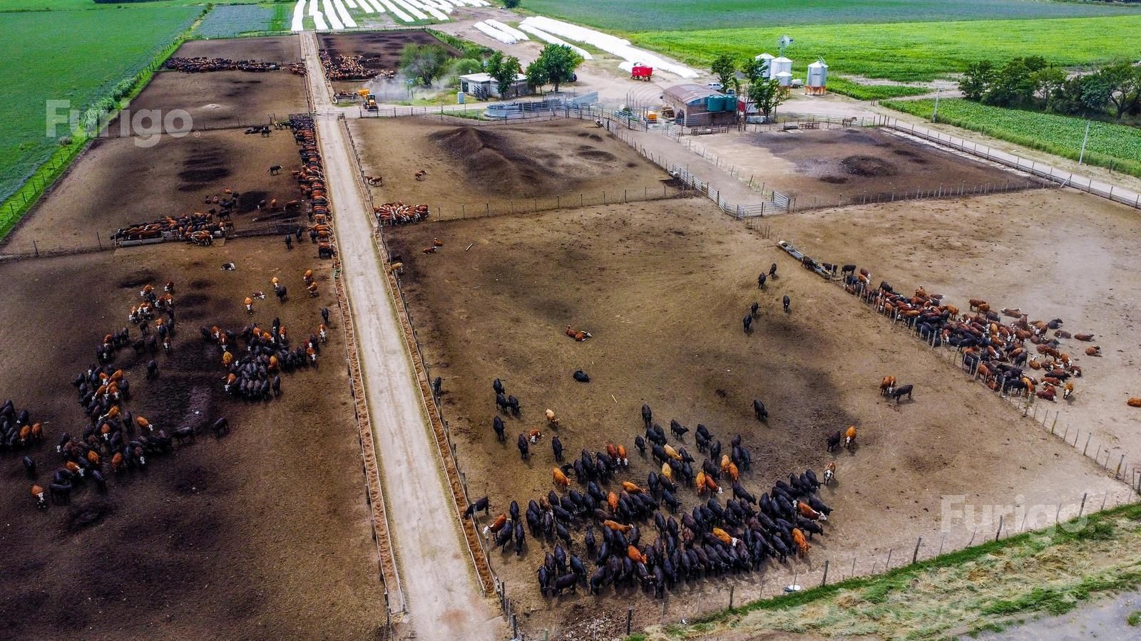 Campo en Venta en Rosario, Santa Fe