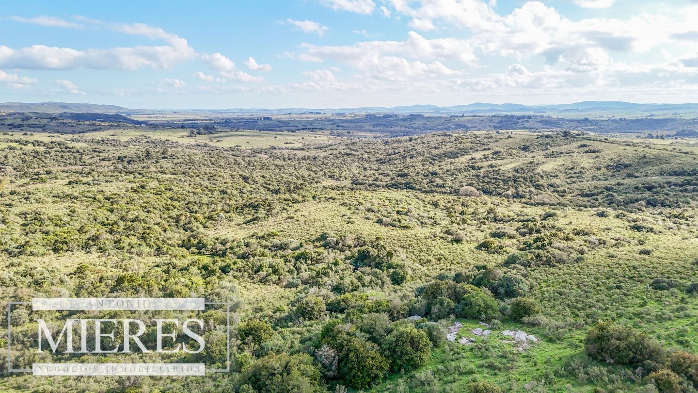 Campo EN VENTA