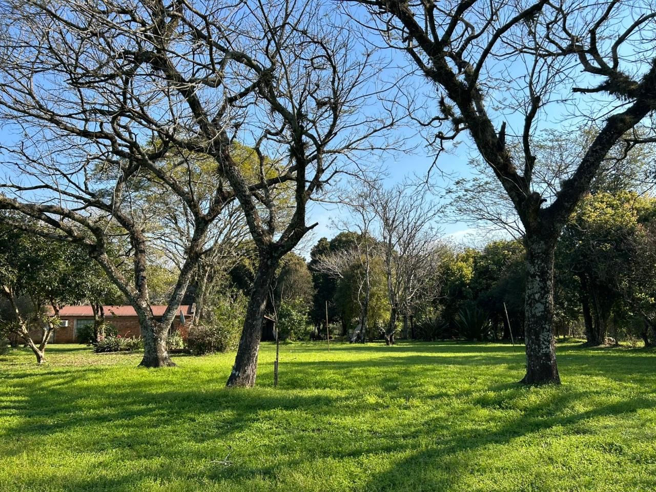 Lote EN VENTA