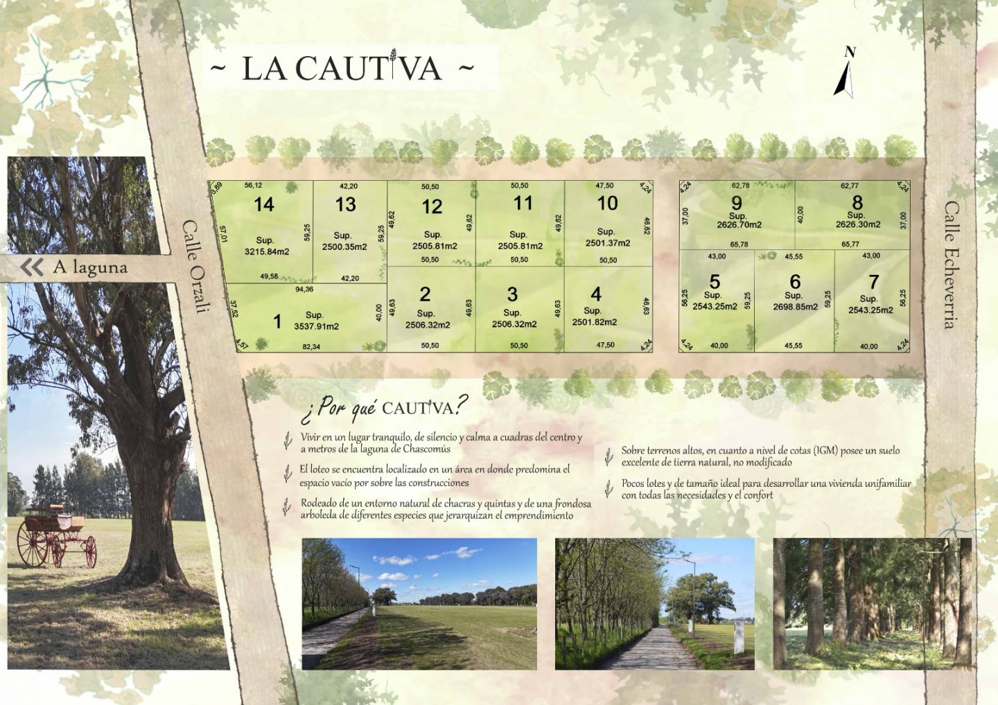 Lote EN VENTA