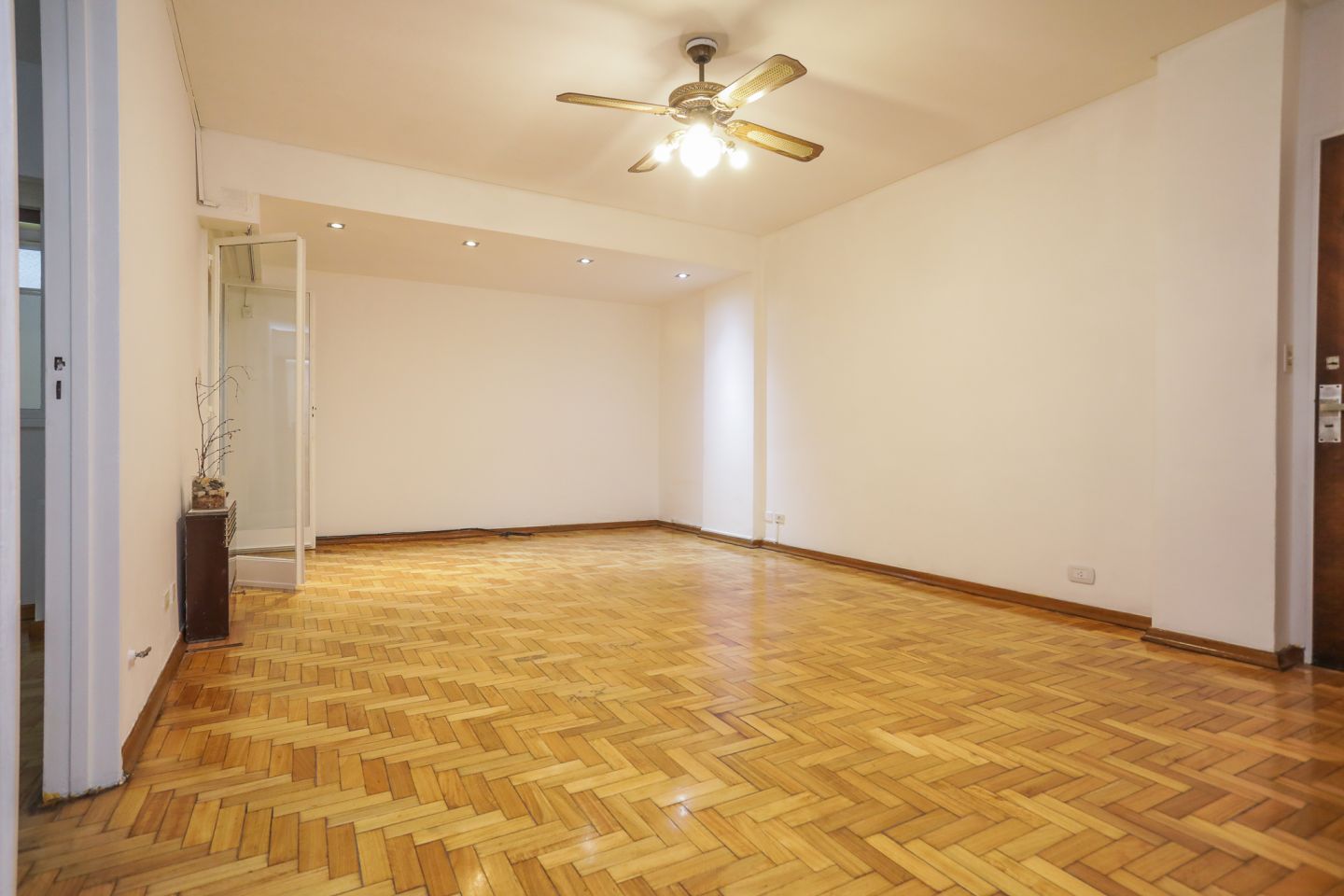 Imagen 5