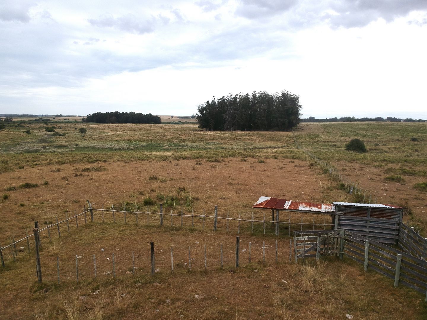 Campo EN VENTA