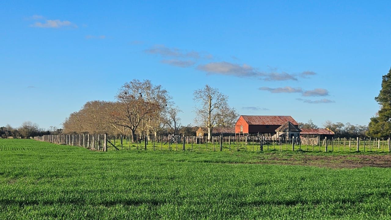 Campo EN VENTA