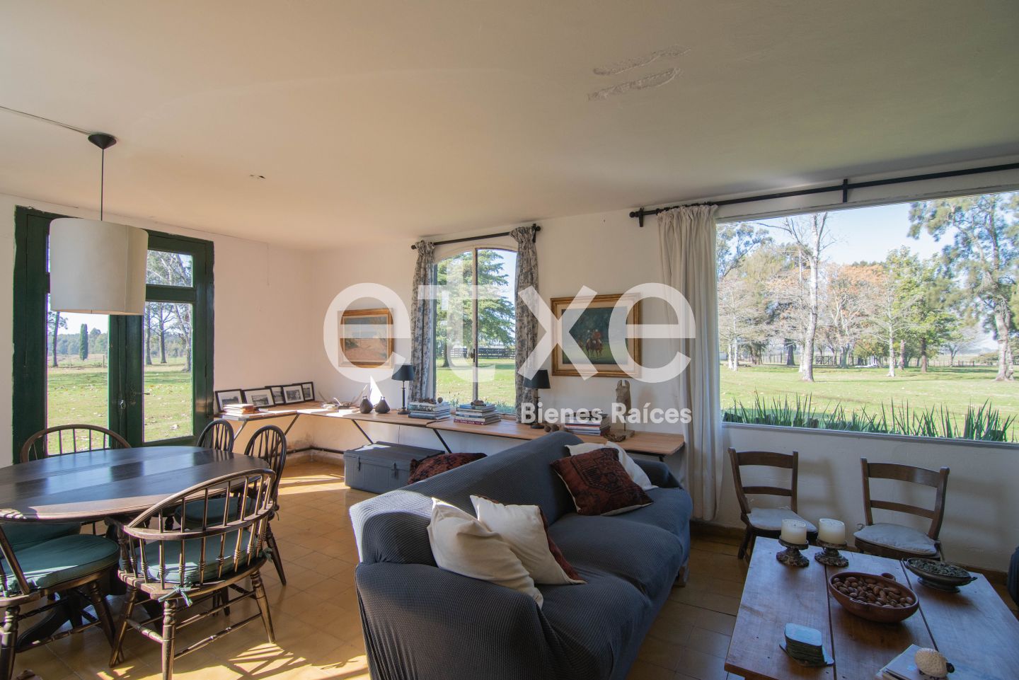 Campo EN VENTA