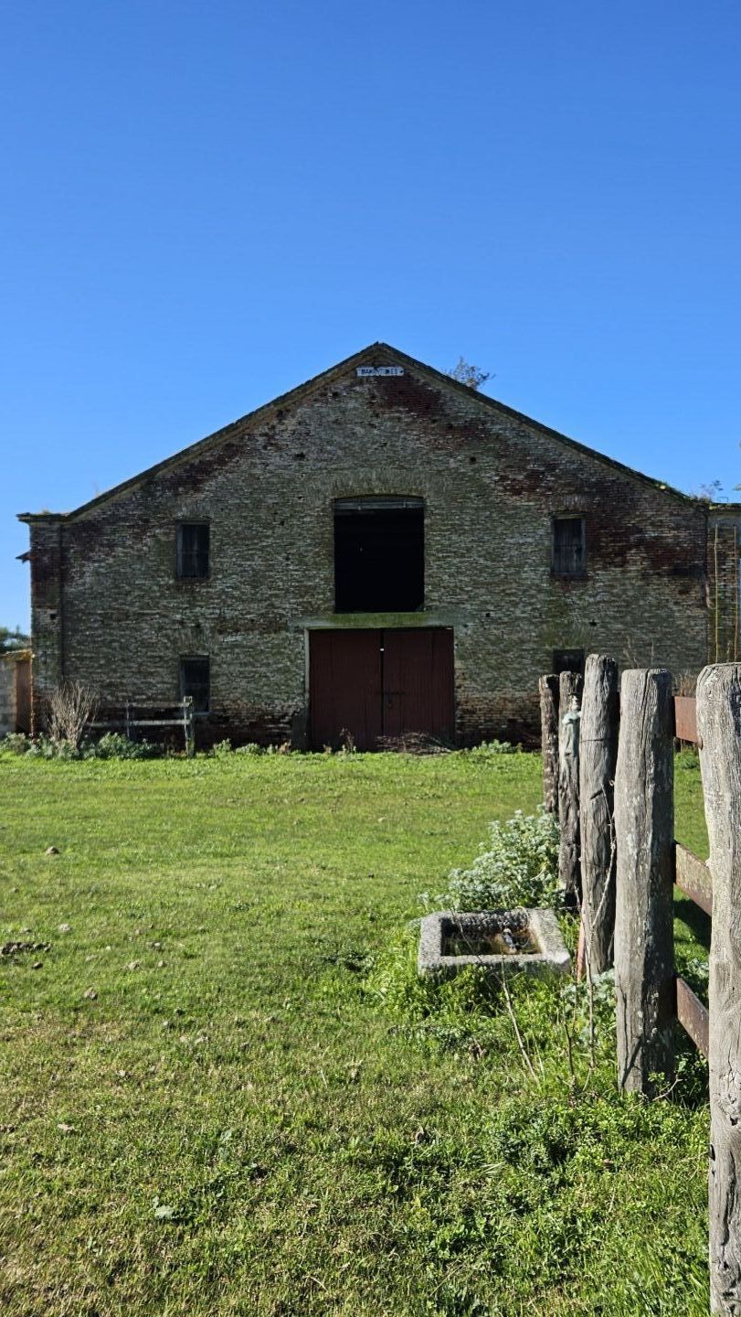Campo EN VENTA