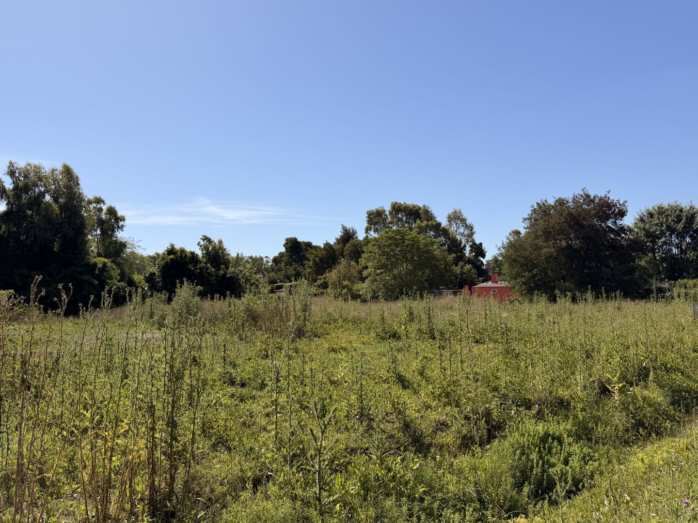 Lote EN VENTA