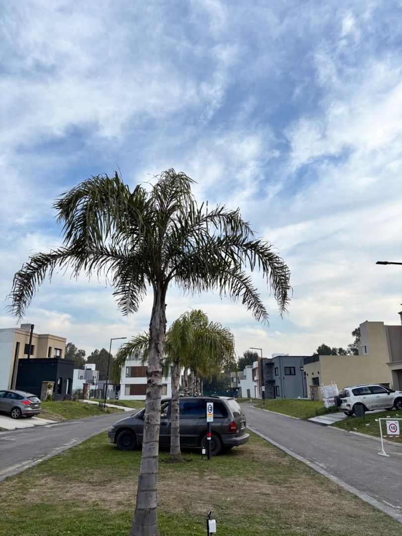 Lote EN VENTA