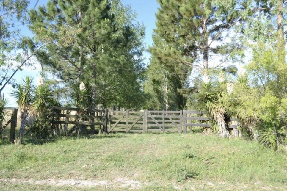 Campo EN VENTA