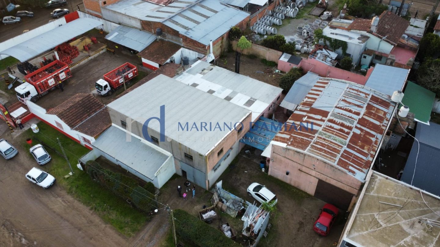 Imagen 3