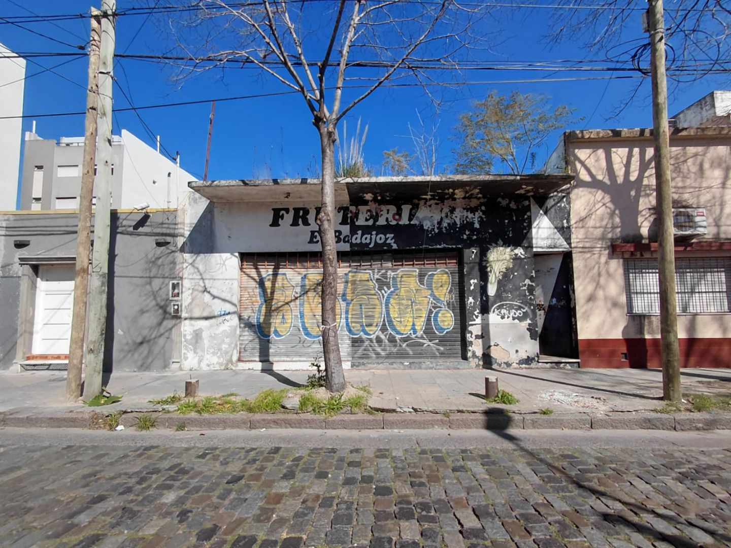 Imagen 18