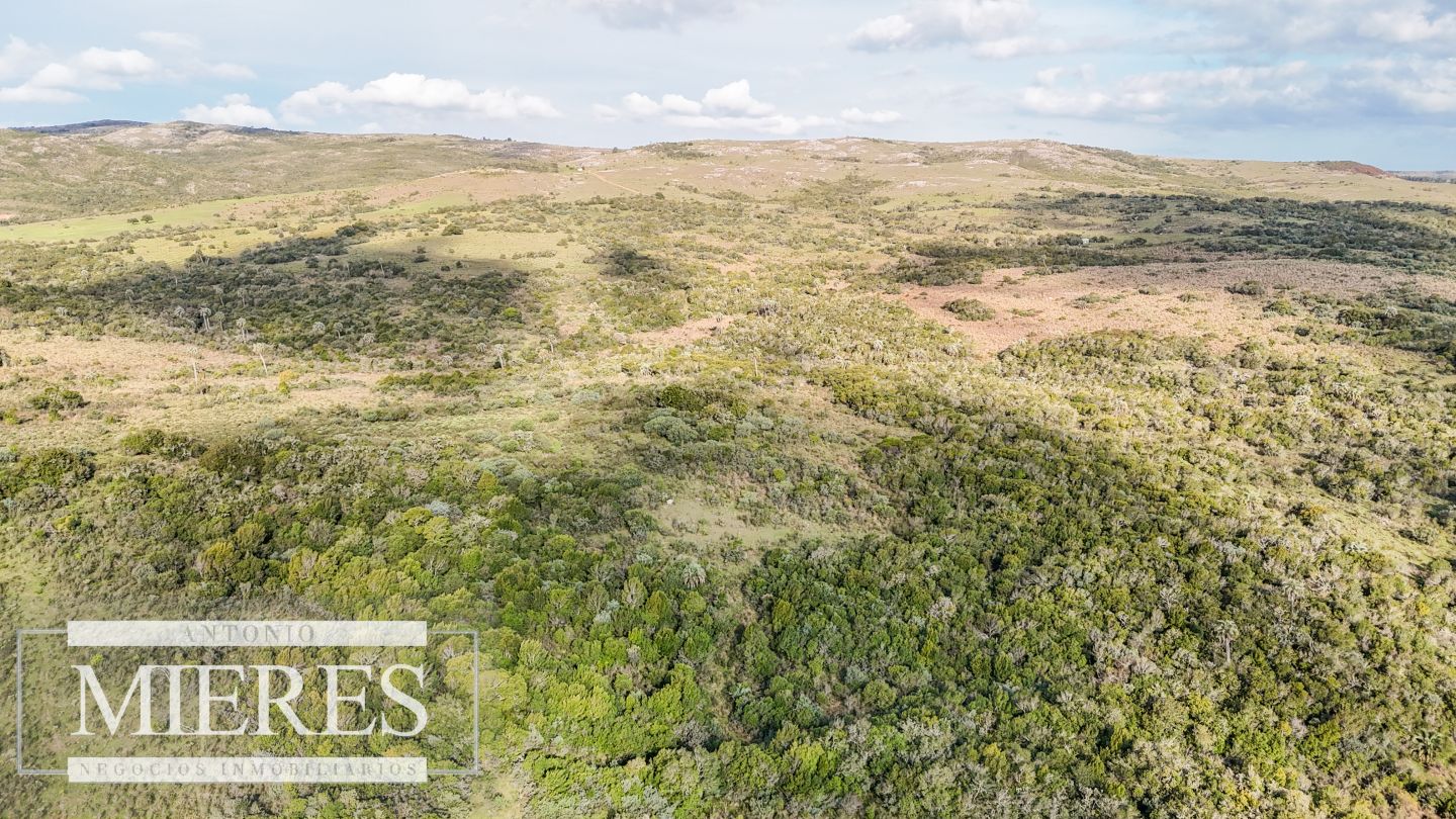 Campo EN VENTA